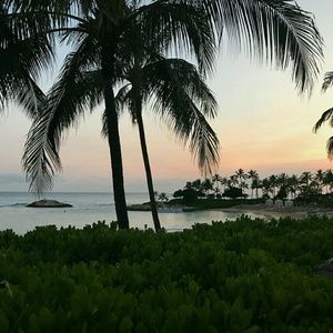 Meet your Posher, Jacqueline